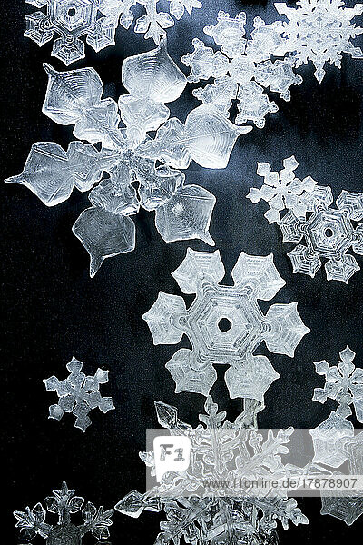 Close-up of snowflakes