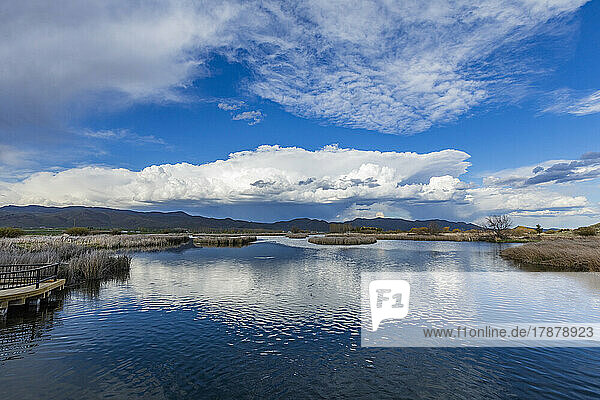 United States  Idaho  Bellevue  Clouds reflecting in pond