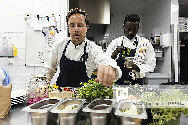 Multiracial male chefs preparing food in commercial kitchen