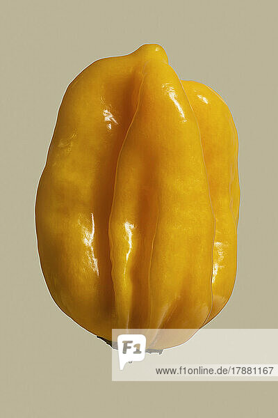 Close up yellow habanero pepper on beige background