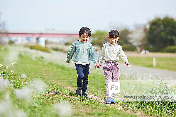 Japanese kids and blooming cherry blossoms