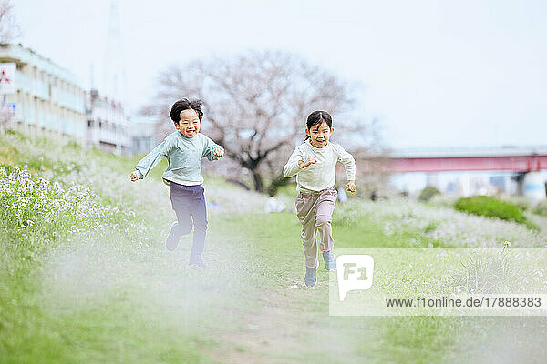 Japanische Kinder und blühende Kirschblüten