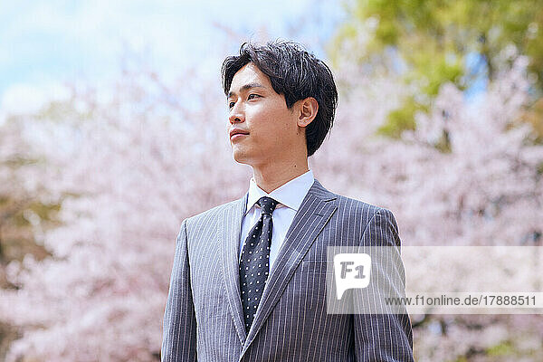 Porträt eines japanischen Geschäftsmanns mit blühenden Kirschblüten