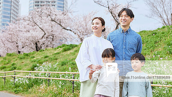 Japanese family with blooming cherry blossoms