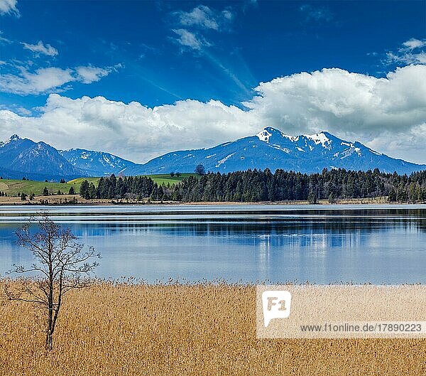 Bayerische Alpen Landschaft Seenlandschaft. Bayern  Deutschland  Europa