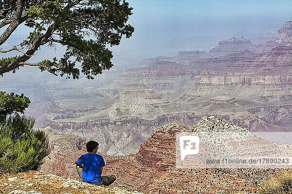 Wanderer sitzt unter Kiefer (pinus)  genießt die Aussicht auf den Grand Canyon im Morgendunst  Blick von oben  Grand Canyon Nationalpark  South Rim  Arizona  USA  Nordamerika