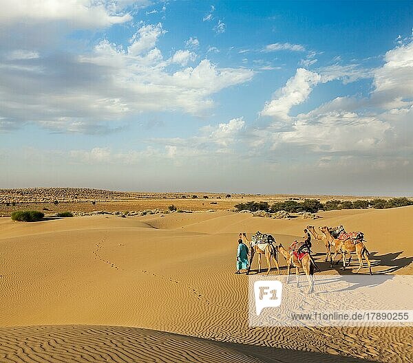 Rajasthan Reisehintergrund  zwei indische Kameltreiber mit Kamelen in den Dünen der Wüste Thar. Jaisalmer  Rajasthan  Indien  Asien