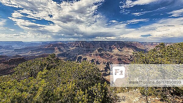 Viewpoint with view of the Grand Canyon  Panorama  Grand Canyon National Park  South Rim Trail  Arizona  USA  North America