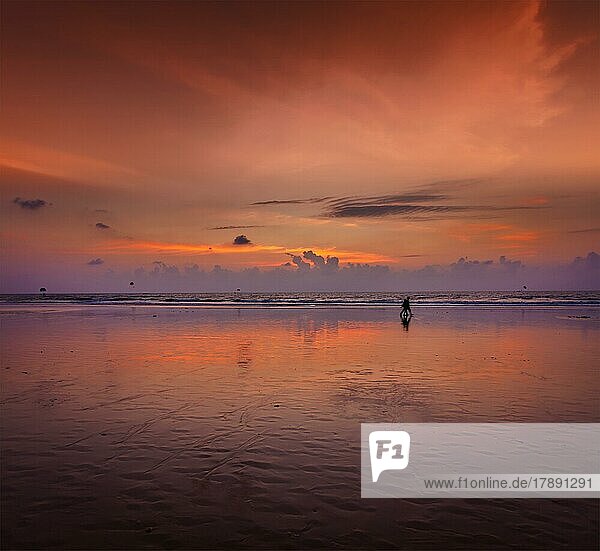 Ehepaar spaziert am Strand bei romantischem Sonnenuntergang. Baga Strand. Goa  Indien  Asien