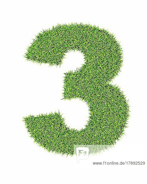Gras Nummer 3 drei  Ökologie umweltfreundliches Konzept Zeichen Typ