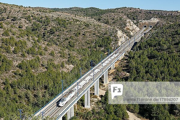 Talgo 250 Hochgeschwindigkeitszug der RENFE auf der Strecke Madrid  Barcelona bei Roda de Bera  Spanien  Europa