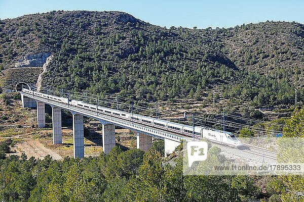 Talgo 350 Hochgeschwindigkeitszug der RENFE auf der Strecke Madrid  Barcelona bei Roda de Bera  Spanien  Europa