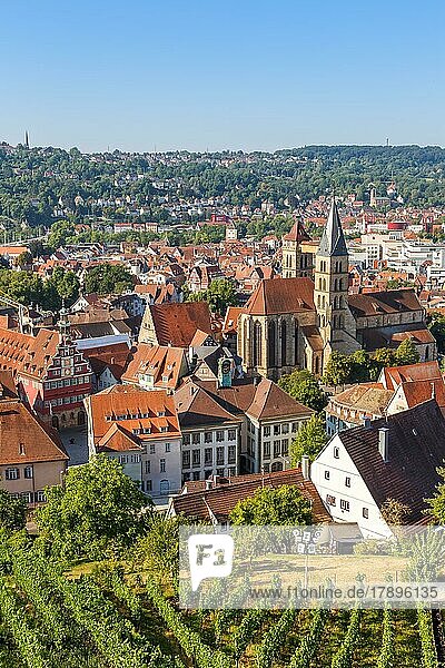 View of the town of Esslingen with historic town hall and church Travel in Esslingen  Germany  Europe