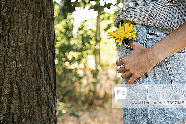 Woman with yellow flower in jeans pocket standing by tree