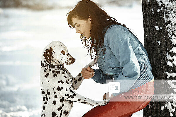 Frau spielt mit Dalmatiner im Winterpark