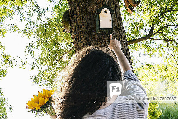 Woman with curly hair pointing at birdhouse on tree trunk