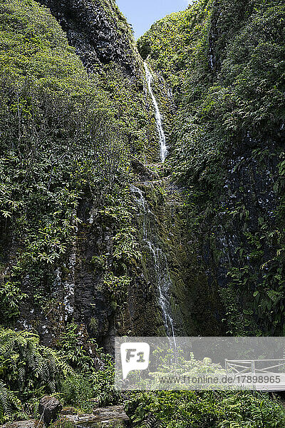 Portugal  Azoren  kleiner Wasserfall auf der Insel Flores