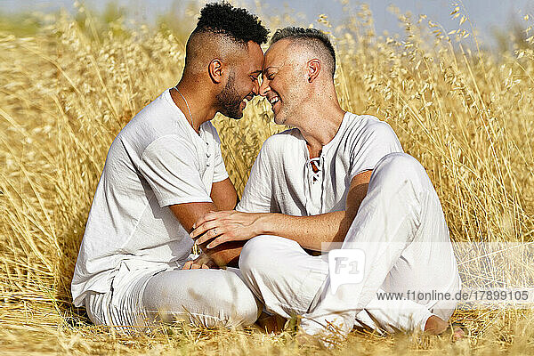 Gay couple nuzzling in field on sunny day