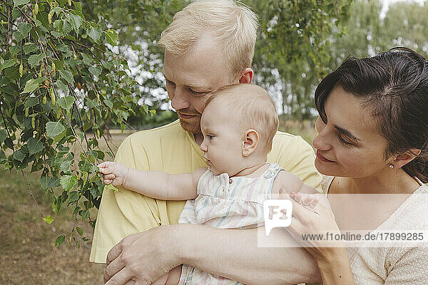 Baby girl touching plant leaves with parents in park