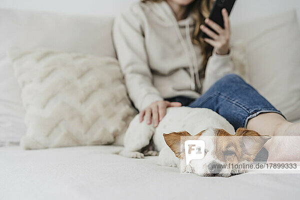 Woman stroking dog using phone sitting on bed at home