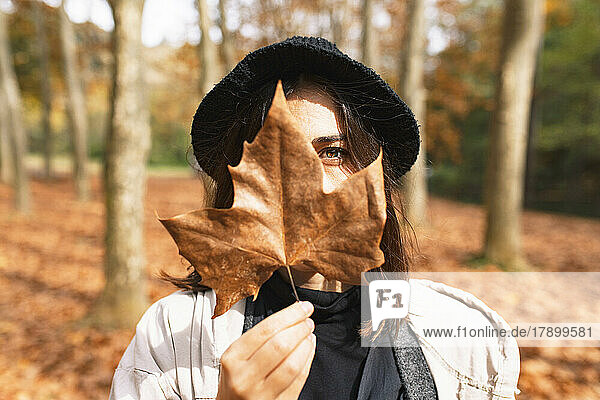 Woman covering face with maple leaf at Fageda D'en Jorda  Olot  Girona  Spain