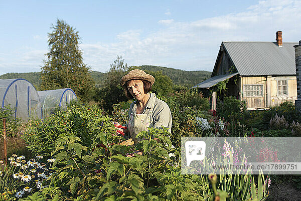 Smiling senior woman wearing hat standing in flower garden on sunny day