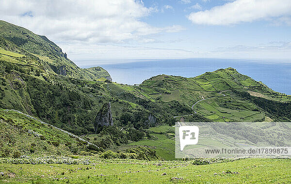 Portugal  Azores  Green landscape of Flores Island