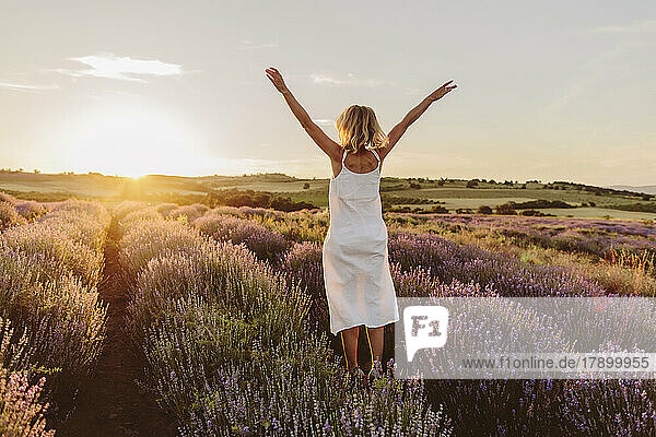 Frau mit erhobenen Armen springt bei Sonnenuntergang in ein Lavendelfeld