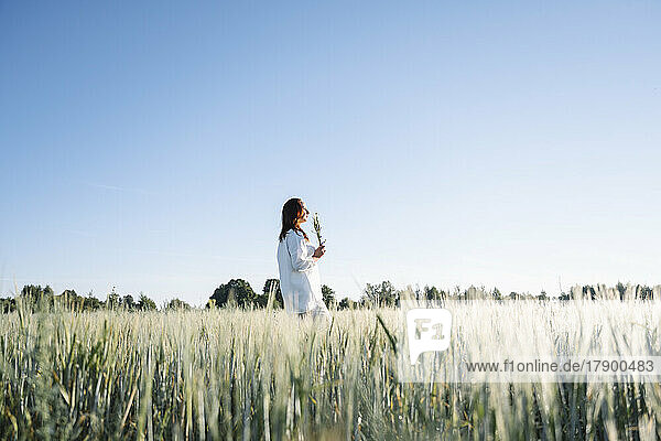 Woman walking alone on cornfield under sky