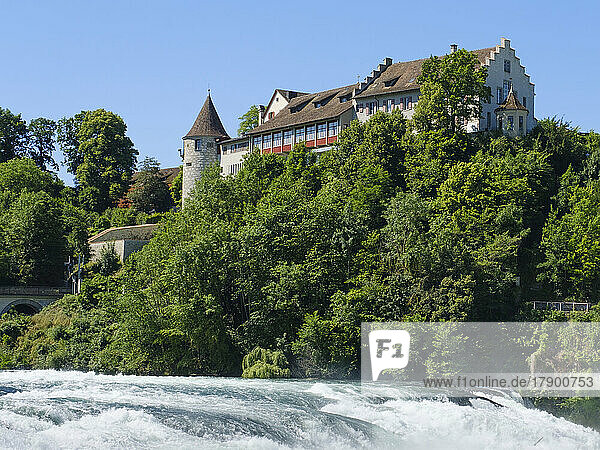 Switzerland  Canton of Zurich  Green trees between Rhine Falls and Laufen Castle