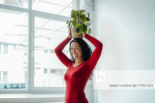 Happy woman carrying houseplant on head at window