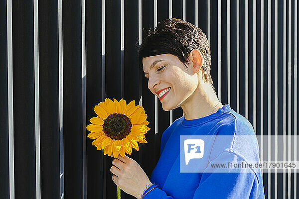 Happy woman holding sunflower by striped wall on sunny day