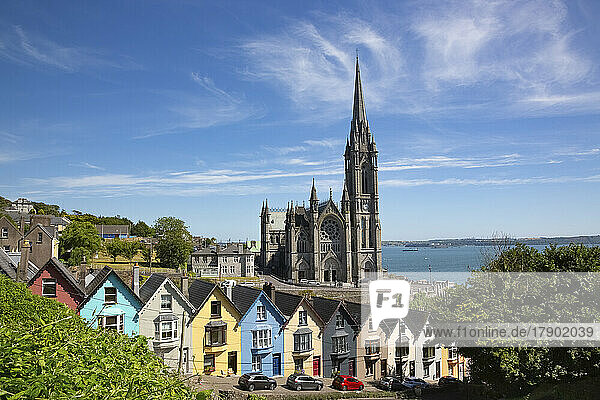 Irland  County Cork  Cobh  bunte Reihenhäuser entlang einer steilen Straße mit der Saint Colmans Cathedral im Hintergrund