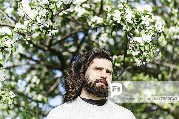 Man with beard standing under flowering plant