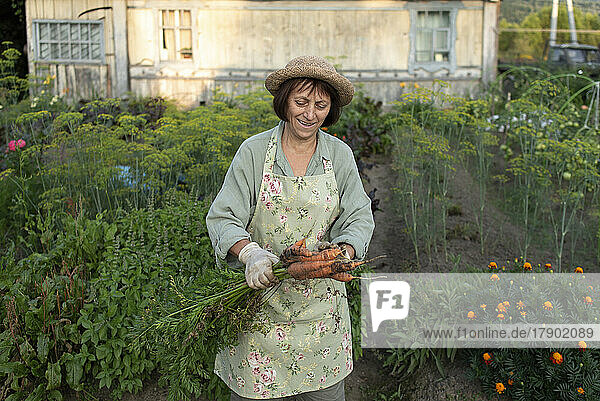 Happy senior woman with freshly picked carrots standing in garden