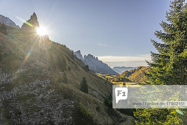 Italy  Trentino-Alto Adige  Rolle Pass at sunrise