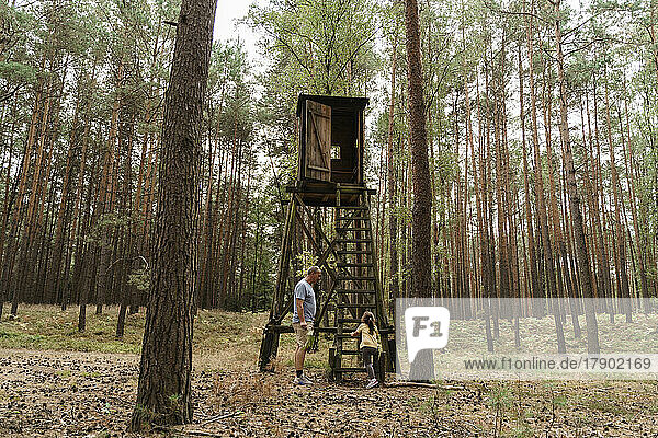Girl climbing ladder of hunting blind in forest