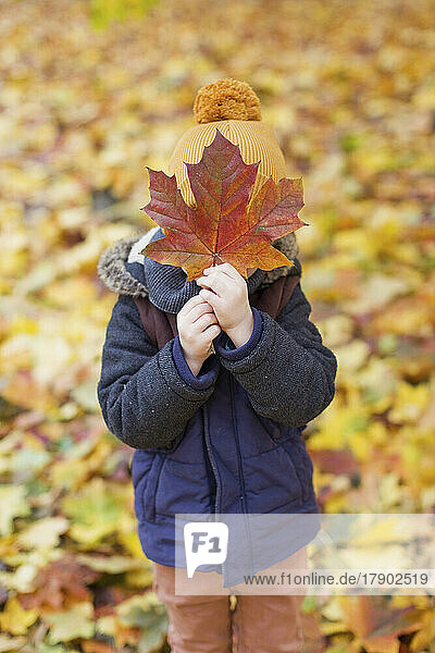 Playful boy covering face with leaf at park