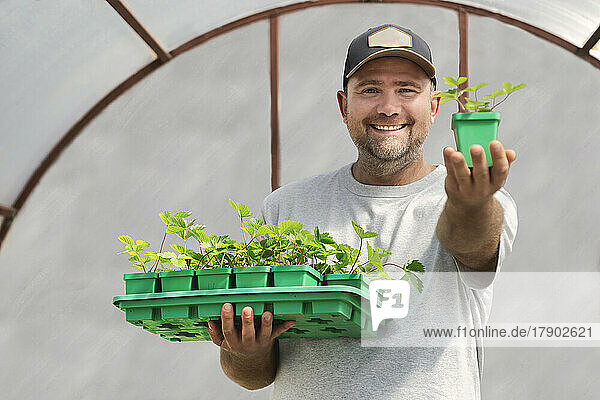 Happy farmer showing potted plant in greenhouse