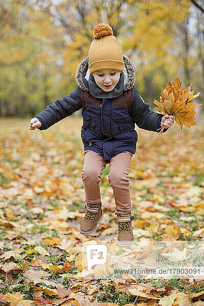Playful boy holding autumn leaves jumping in park