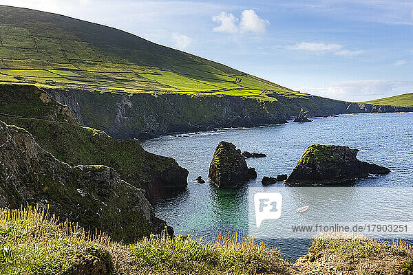 Ireland  Coastline of Dingle Peninsula