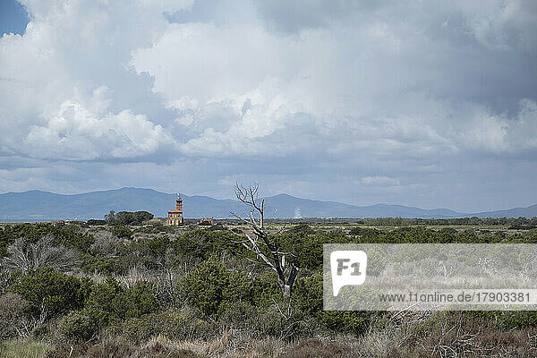 Malerischer Blick auf die Landschaft am Foce dell'ombrone  Parco Regionale della Maremma  Grosetto  Italien