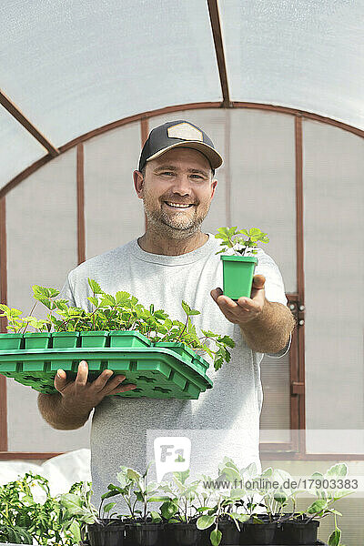 Smiling farmer showing potted plant in greenhouse