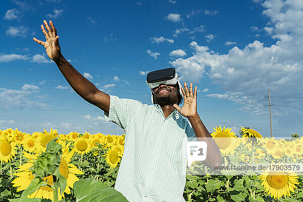 Smiling young man wearing virtual reality simulator dancing in sunflower field