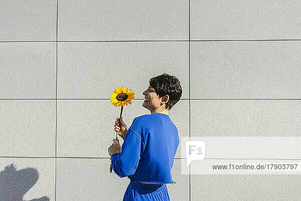 Happy woman with sunflower standing in front of wall on sunny day