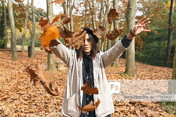 Woman throwing maple leaves standing at Fageda D'en Jorda forest  Olot  Girona  Spain