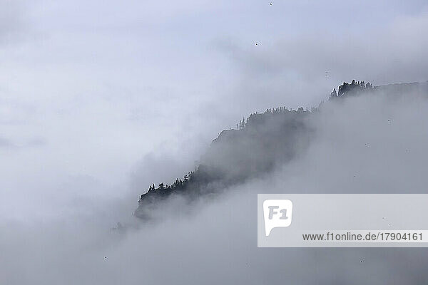 Berggipfel in dichten Nebel gehüllt