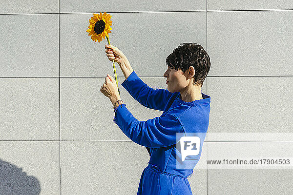 Frau hält an einem sonnigen Tag eine Sonnenblume vor der Wand