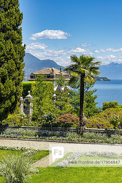 Die Gärten des Palazzo Borromeo  Isola Bella  Lago Maggiore  Bezirk Verbania  Piemont  Italienische Seen  Italien  Europa