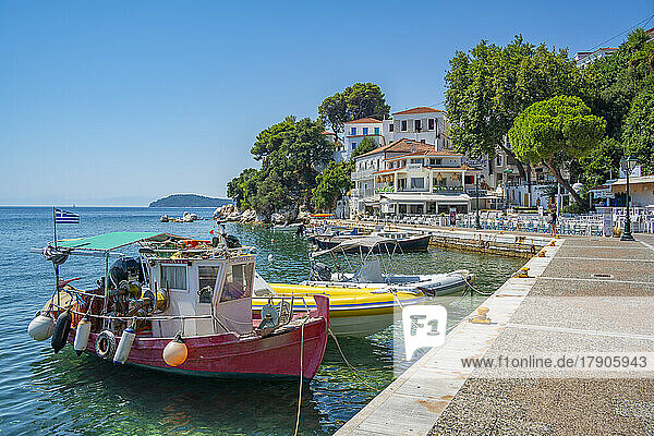 Blick auf das Belvedere Skiathos Alter Hafen und Skiathos Stadt  Insel Skiathos  Sporaden  Griechische Inseln  Griechenland  Europa